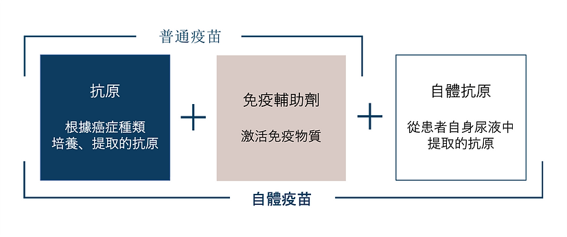 蓮見疫苗:普通疫苗 vs 自體疫苗成分比較圖解