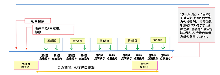 Hybrid MAT 療程時間軸:初回相談 → 第1-5次點滴投與 → 免疫力評估